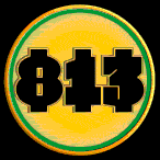 TampaCoin virtual crypto animation